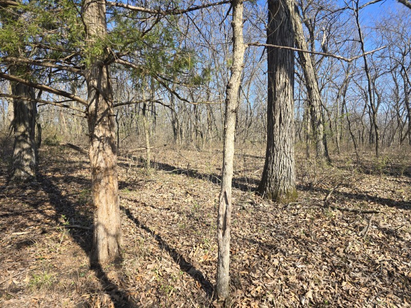 Listing photo 15